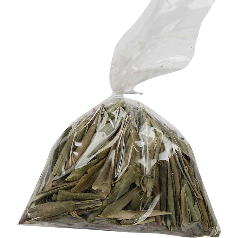 zeytin-yapragi